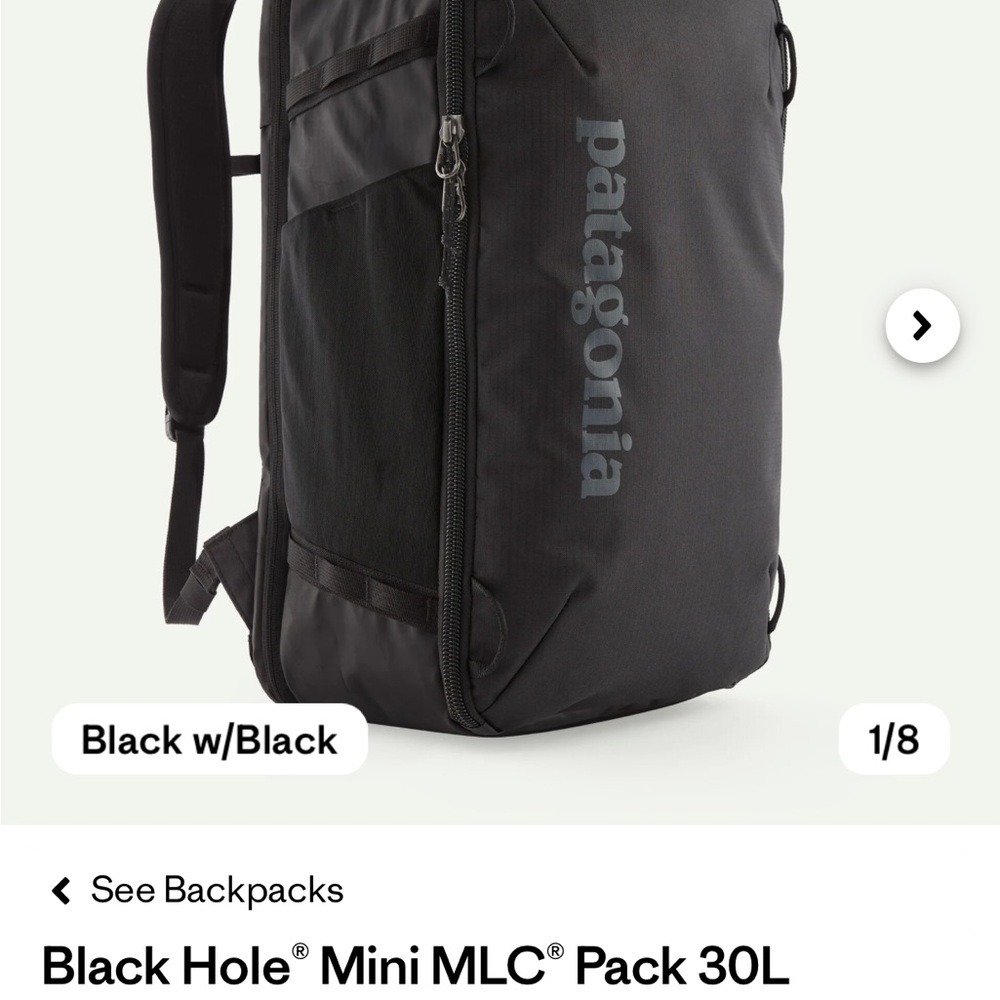 Patagonia Black Hole® Mini MLC® Pack 30L - Black